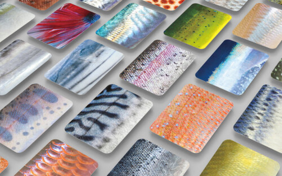 75d419ec1ddcb5c2411cfc59b2ce39