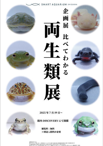 企画展ビジュアル.jpg